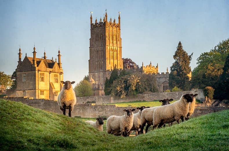 village in cotswolds sheep