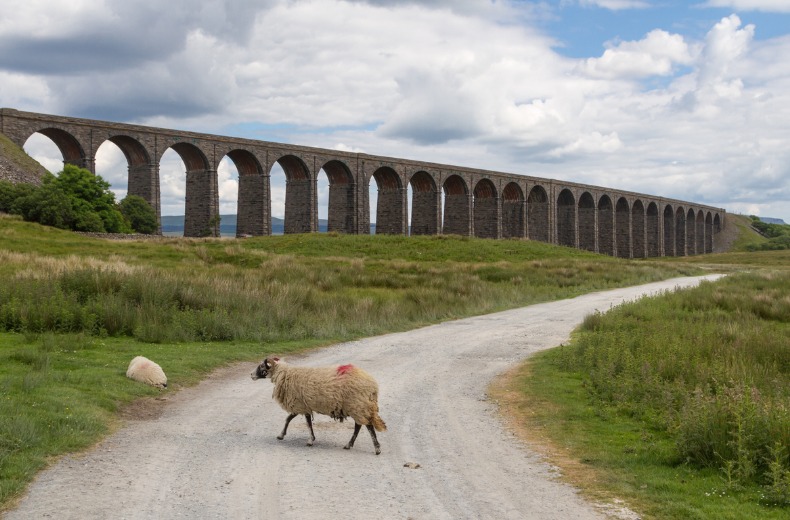 uk-national-parks-yorkshire-dales