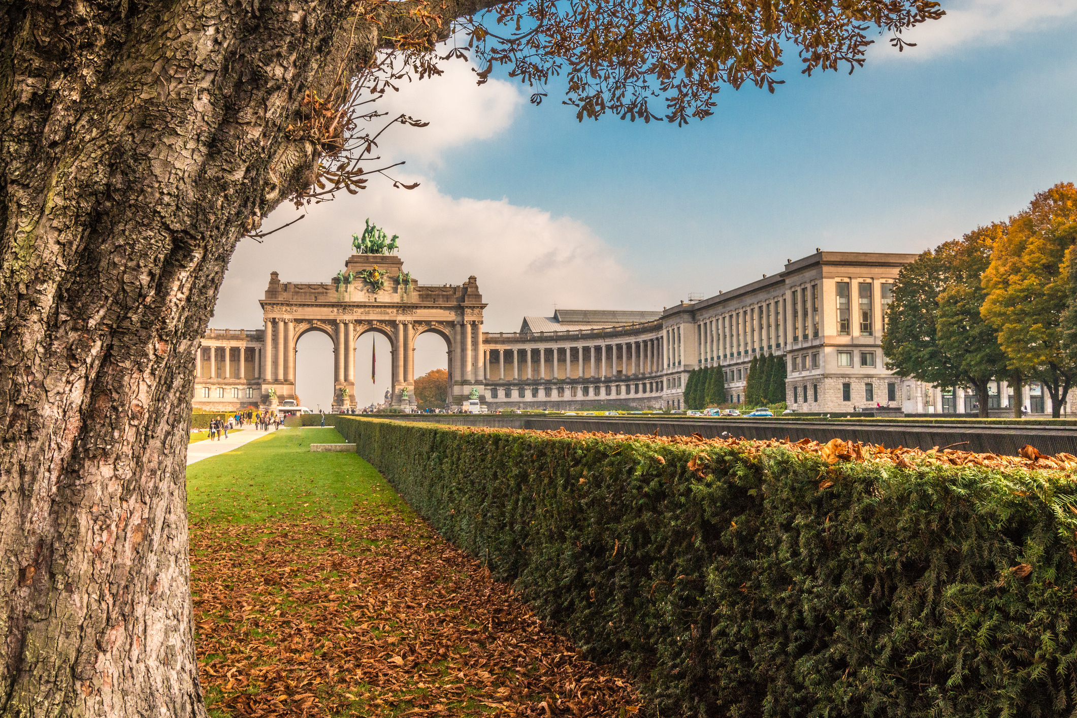 brussels autumn