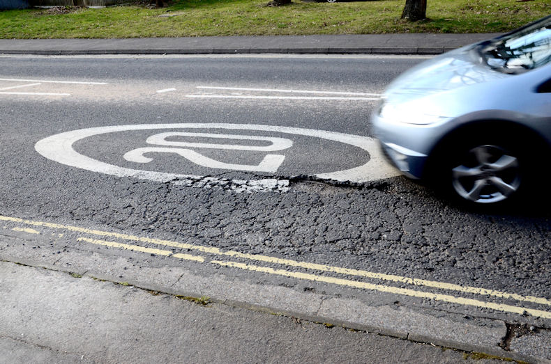 pothole-in-the-road-alligator